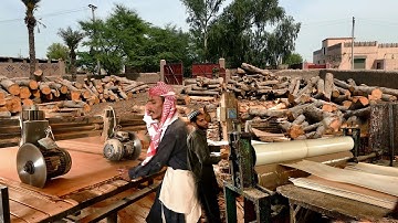 Process of Making Plywood 
