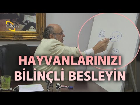 Video: Snape'in Profesörü Olmuş Olmasını İsteyen 15 Köpek