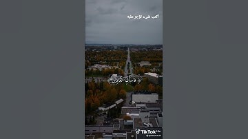 سورة المؤمنون || تلاوة جميلة من القارئ : إسلام صبحي 😴💙 #القرآن_الكريم #تقرب_إلي_الله