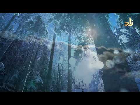 تعلم مع شعار زاد فائدة ما معنى قوله تعالى رب المشرقين ورب المغربين