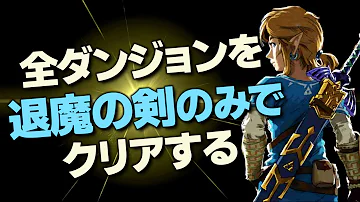 解説 この世界からマスターソードを消すことが出来るらしい ゼルダの伝説 ブレスオブザワイルド Mp3