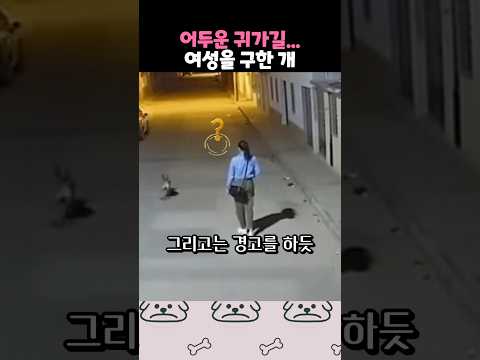 위협으로부터 여성을 구한 개