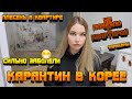 Как мы провели карантин в Корее Правила и условия. Не повезло с квартирой😭Атака плесени и тараканов🪳