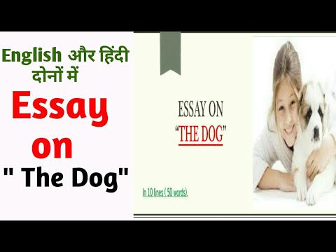 dog essay hindi to english