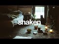 Sarah Juers -  Shaken