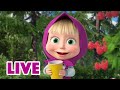 🔴 LIVE STREAM! 🍓 माशा एंड द बेयर 🍒 बहुत टेस्टी है! 🐻 Masha and the Bear