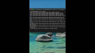 Running Linux commands in a Mac terminal through Docker