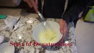 Coagulation and Denaturation