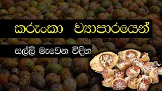 කරුංකා ව්‍යාපාරය | Karunka Business | Puwak Business | Sri Lanka | Areca nut Business