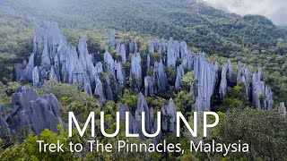 [Travel vlog] Tough Trek to The Pinnacles | Gunung Mulu National Park, Borneo Malaysia