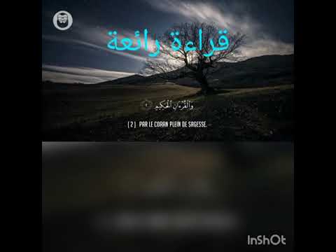 قراءة تدمع العين للقارئ إسلام صبحي سورة ياسين