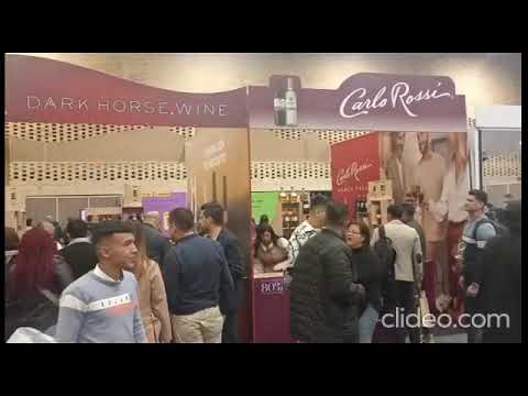 Vino, música y gastronomía en Expovinos 2023