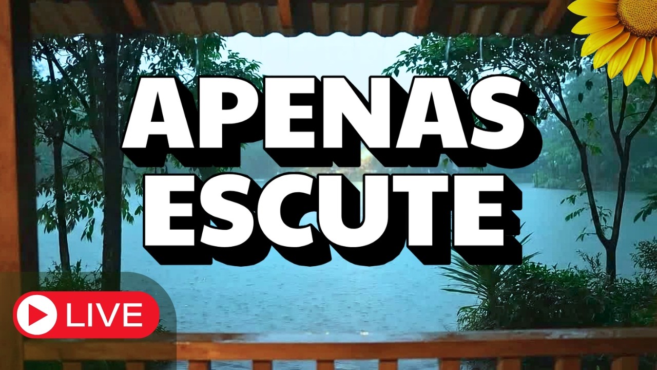 🔴SOM da CHUVA Proporciona PAZ e SONO Profundo🌧️💤