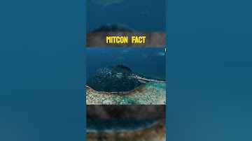 Best AI tool for math problems 💯#mathproblems #shorts #artificialintelligence