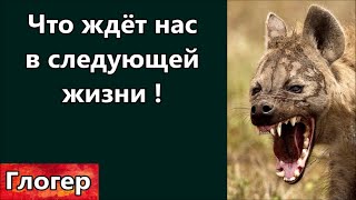 Что Нас Ждёт В Следующей Жизни ? ! Станет Ли Трамп Президентом ? \ Майами Сша Выборы Американцы