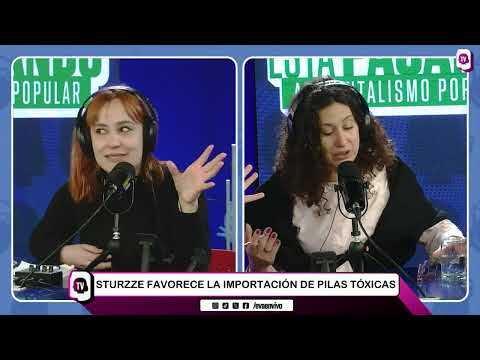 MILEI, ELON MUSK Y LA MOTOSIERRA AMBIENTAL: Pilas TÓXICAS y CRISIS CLIMÁTICA