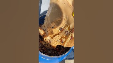 Làm nước rửa chén từ quả bồ hòn, vỏ quế, vỏ dứa tự nhiên an toàn #boboon