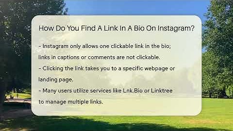 How Do You Find A Link In A Bio On Instagram? - Everyday-Networking