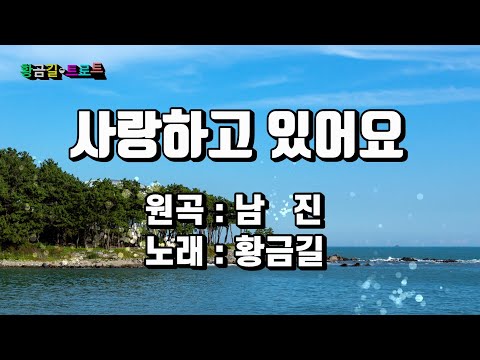 Cover 황금길 사랑하고 있어요 원곡 남진 영상가사
