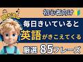 【初心者向け英会話】毎日きいていると英語が聞こえる！かんたん８５フレーズ！【聞き流し｜英語学習｜初級】