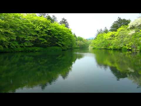 مناظر طبيعية للمونتاج HD