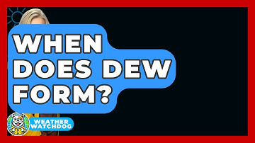 When Does Dew Form? - Weather Watchdog