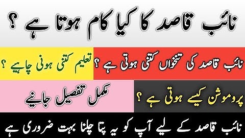 Naib qasid ka Kya kaam hota ha|salary|promotion|interview|Review Pakistani Jobs