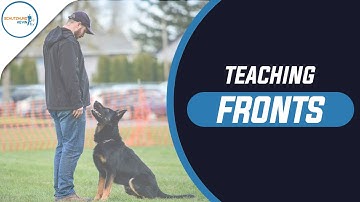 TEACHING FRONTS FOR COMPETITION OBEDIENCE