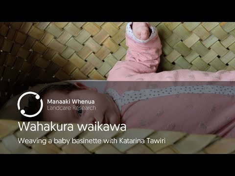 Wahakura waikawa: weaving a baby basinette with Katarina Tawiri