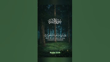 كلا نمد هؤلاء و هؤلاء من عطاء ربك 🖤🎧 #اللهم_صل_وسلم_على_نبينا_محمد #قران_كريم #سورة_الاسراء