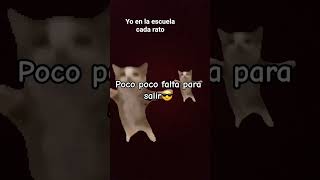 El Himno de mis compañeos y yo#humor #escuela #musica #gatos #parati