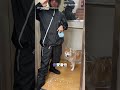 【好貼切】柴犬主人最佳代表曲 〈雨一直下〉聽著聽著就哭了XD｜下雨｜柴犬｜遛狗