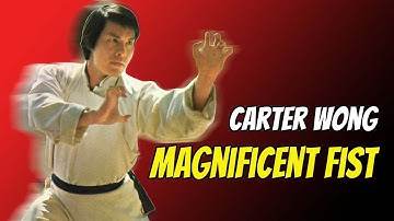 Wu Tang Collection - Magnificent Fist