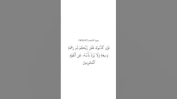 سورة الأنعام ١٤٧