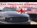 Цены на авторынке Автопапа апрель 2019. Пригон авто из США Грузии в Украину  Autopapa