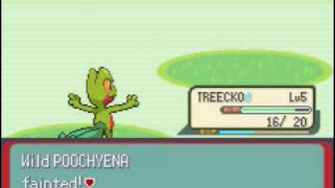 POKEMON EMERALD WALKTHROUGH PART 1- A NEW ADVENTURE