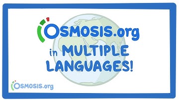 Osmosis videos in multiple languages!