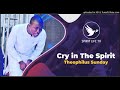 Theophilus Sunday | cry in the spirit
