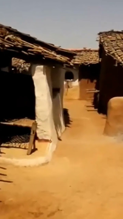 Kisah Malam Mencekam di Kebun Sawit | Cerita Hantu Mistis Alam Sebelah Edisi Kalimantan Terbaru