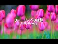 チューリップの旋律🌷 | ピアノ音楽 | お昼寝睡眠 | Tulip Melody. Take a Nap.
