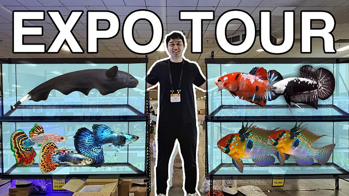 CANADIAN FISH TANK EXPO TOUR (Canadian Aquatic Expo)