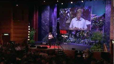 A robot that flies like a bird