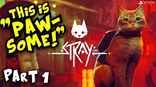 Stray the CUTE CAT GAME Playthrough Part 1 PS5 HD | Blind FULL Gameplay