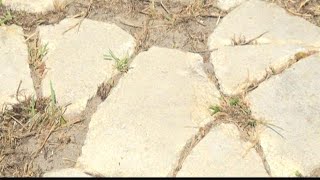 Lost souls: Community search for unmarked African American graves continues