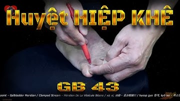 GB43 | Huyệt Hiệp khê | Kinh Túc thiếu dương đởm | ACUVI