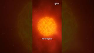 Astronomers found something near Betelgeuse… 🌟