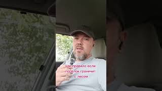Самые редкие участки в Московской области #участок  #частныедома #купитьучасток  #загородныйдом