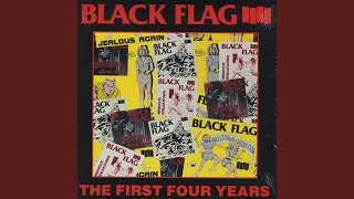 RAISE　YOUR　BLACK　FLAG　The　Birthday　TOUR Vintage Black Flag 