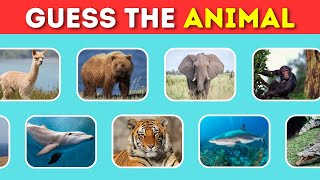 Guess The 45 Animal By Image | Animal Quiz | Quiz Master