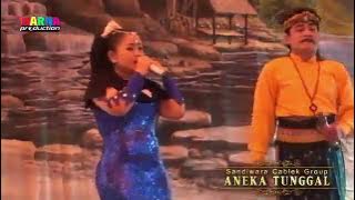 CINTA SENGKETA - DHEVI AYU ANEKA TUNGGAL